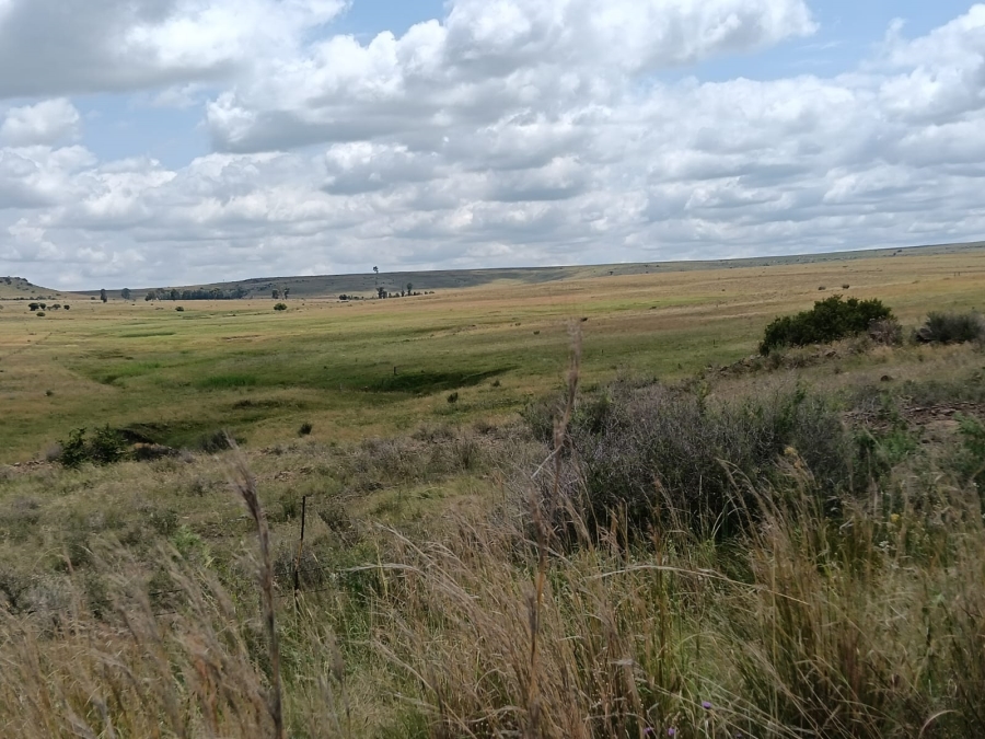 0 Bedroom Property for Sale in Lindley Rural Free State